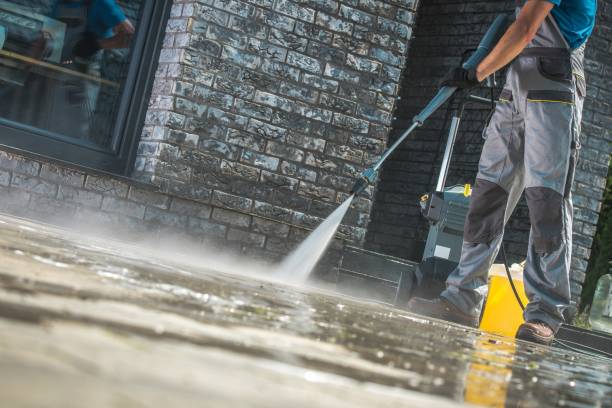Best Vinyl Siding Pressure Washing in Scenic, AZ
