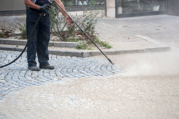 Best Graffiti Removal Services in Scenic, AZ